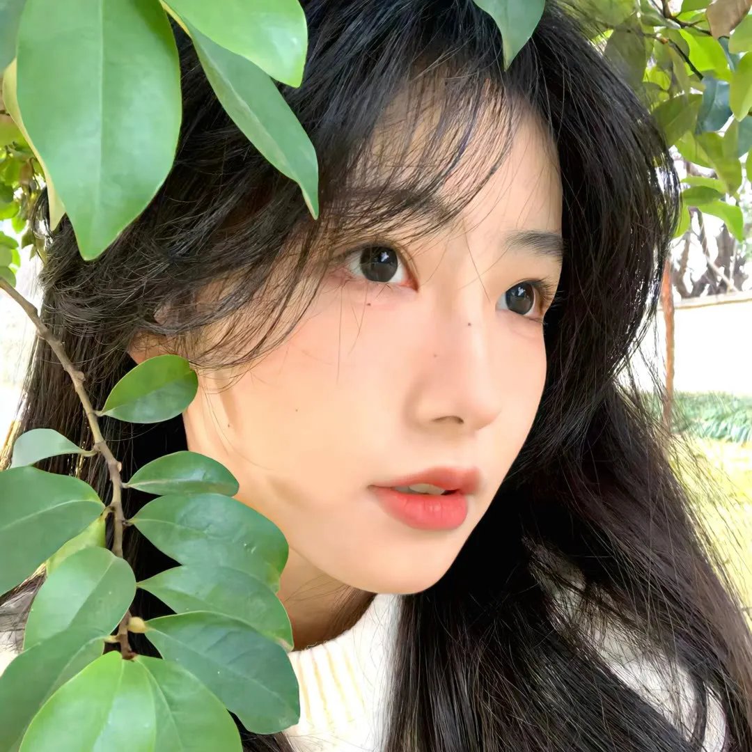 真情的代价